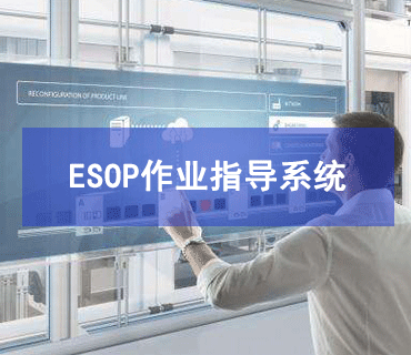 ESOP作業(yè)指導(dǎo)書(shū)系統(tǒng)